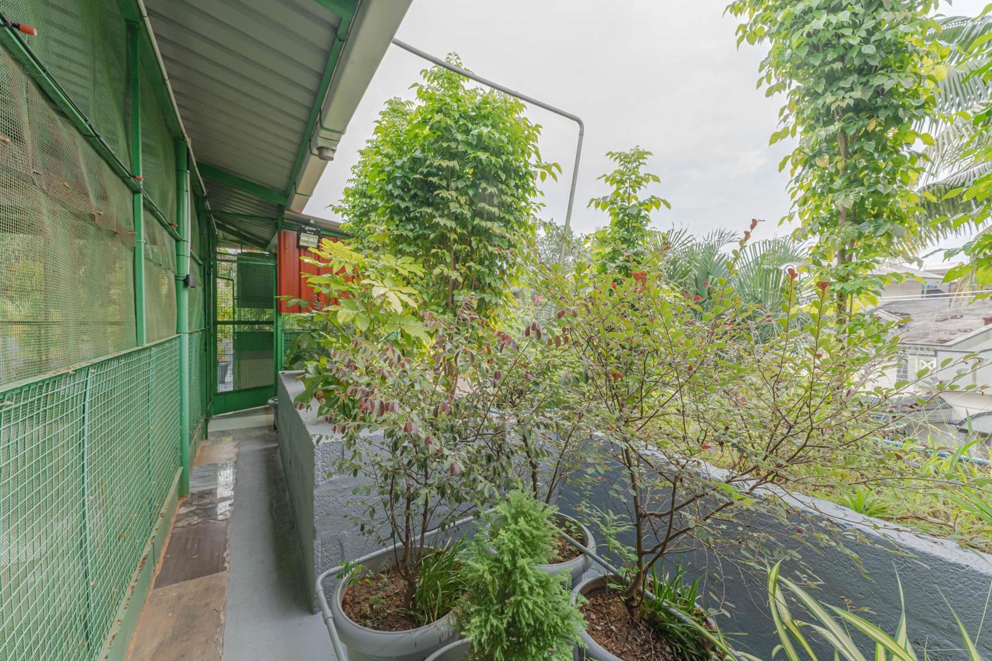 Udupi Homestay Garden Villa Dış mekan fotoğraf